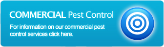 Commercial Pest Control