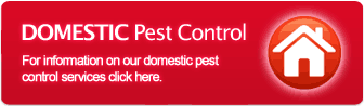 Domestic Pest Control